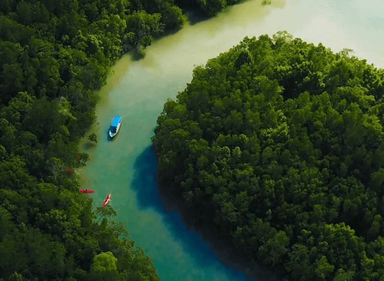 Anantara Mangrove Cruising