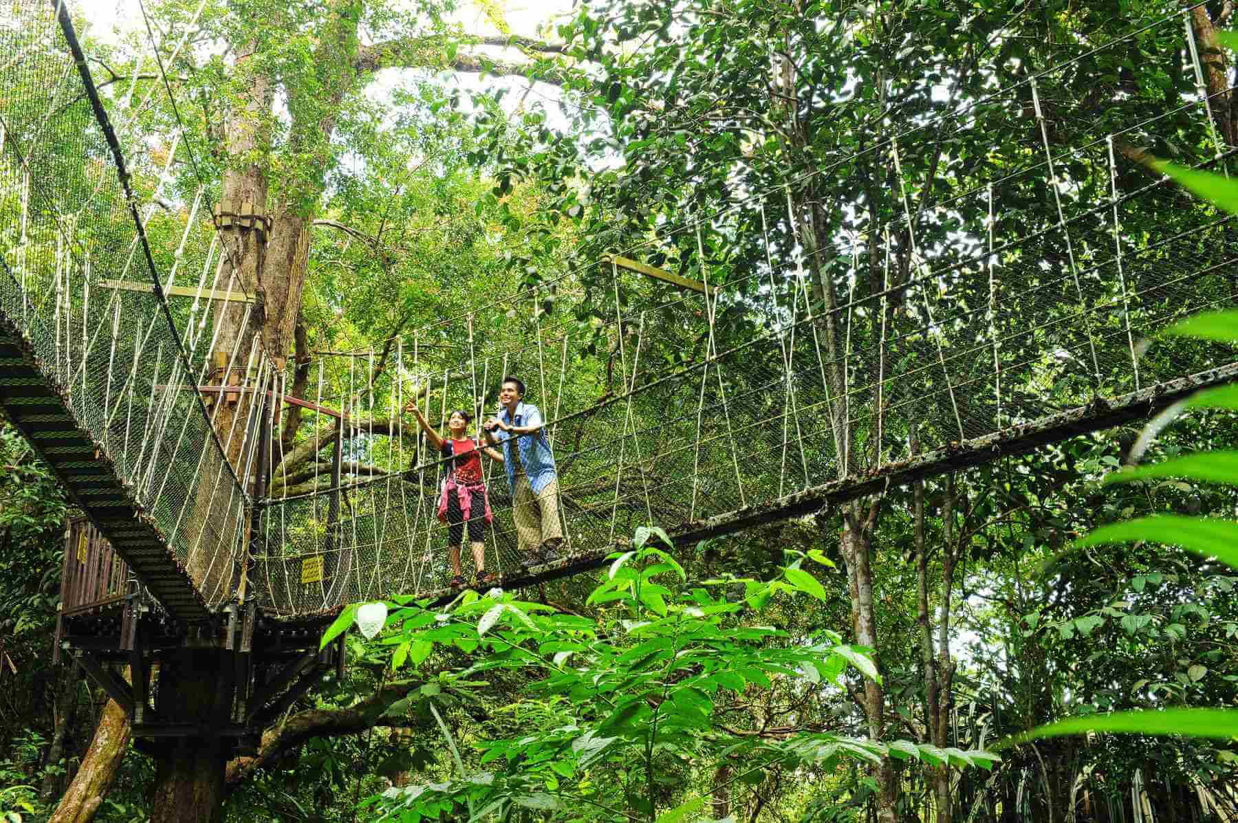 Taman Negara Pulau Pinang