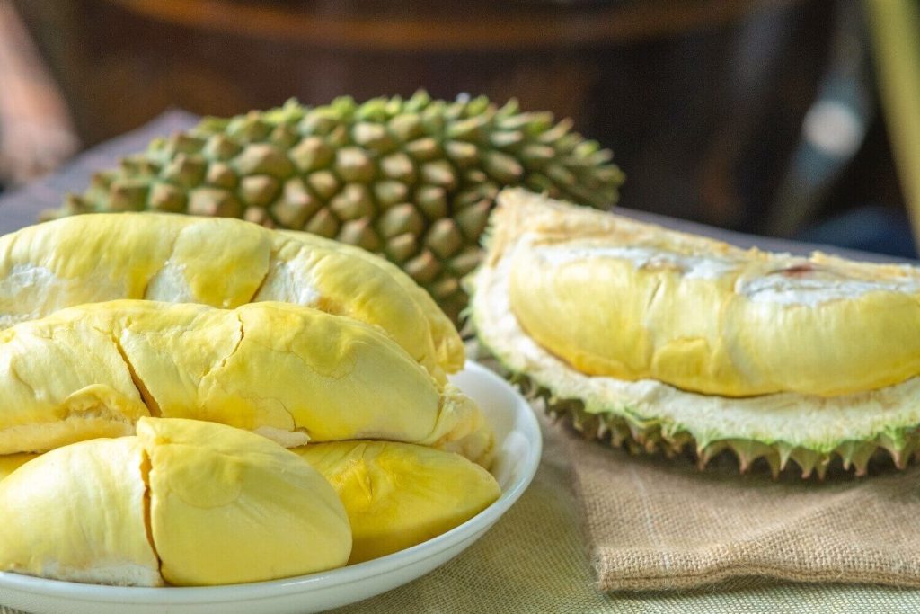durian ketika mengandung dan menyusu