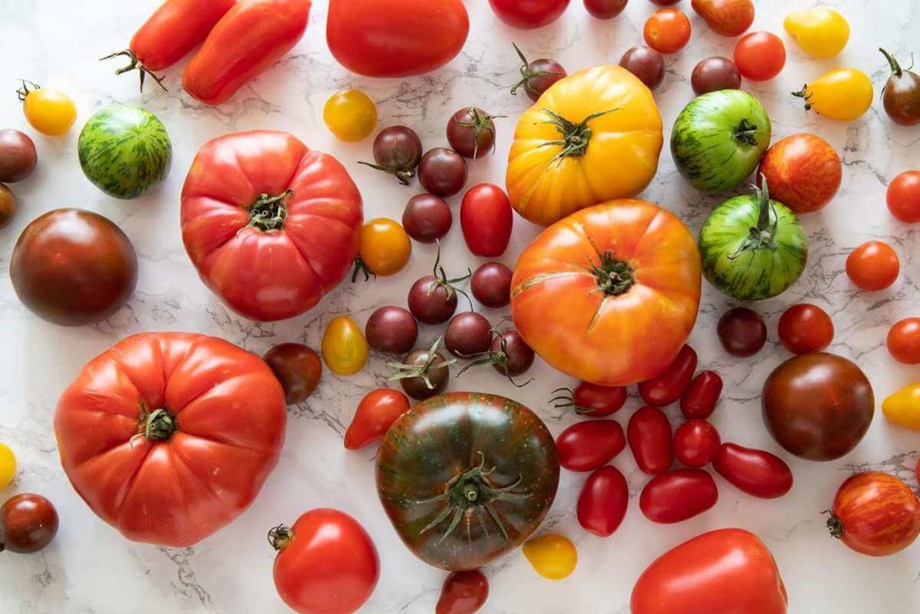 manfaat tomato
