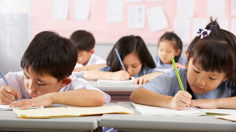 Group of student working in a class