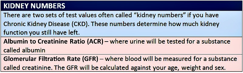 Adapted from https://nkf.org.my/facts-about-kidneys/common-kidney-disease/ and https://nkf.org.my/wp-content/uploads/2018/09/LiveLife_Eng.pdf