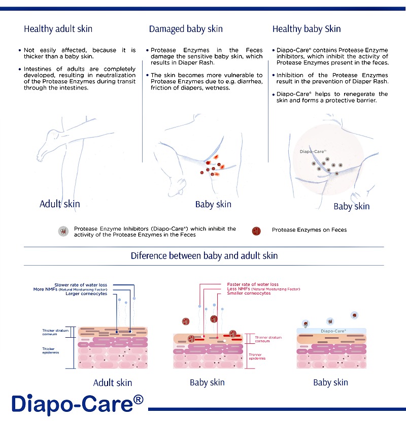 Because Diapo-Care contains Protease Enzyme Inhibitors, applying Diapo-Care after each diaper change will prevent diaper rash from occurring. If the rashes are already present, Diapo-Care will also heal the skin even in severe cases.