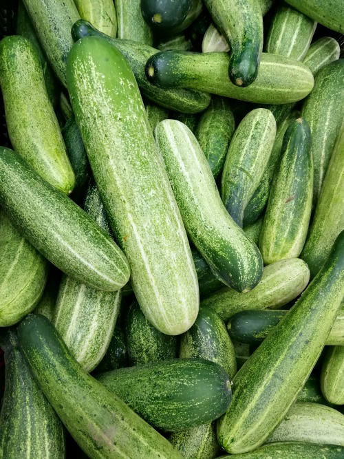 A large number of cucumbers. Too cooling. Fruits and Vegetables in Malaysia 