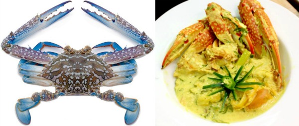 (Left) This is a Flower Crab. Harvested from the Indian and Pacific Oceans, as well as the Mediterranean Sea, this specie of crab is widely available in most if not all of our supermarkets. (Image Credit) theoceanmart.com (Right) This is Ketam Masak Lemak, cooked using coconut milk, turmeric leaves, tamarind, lemongrass and of course ─ the flower crab. (Image Credit) danielfooddiary.com