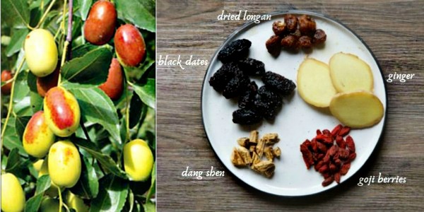 Chinese Black Dates hanging on a branch and all the dried fruits used in Dang Shen Tea. 