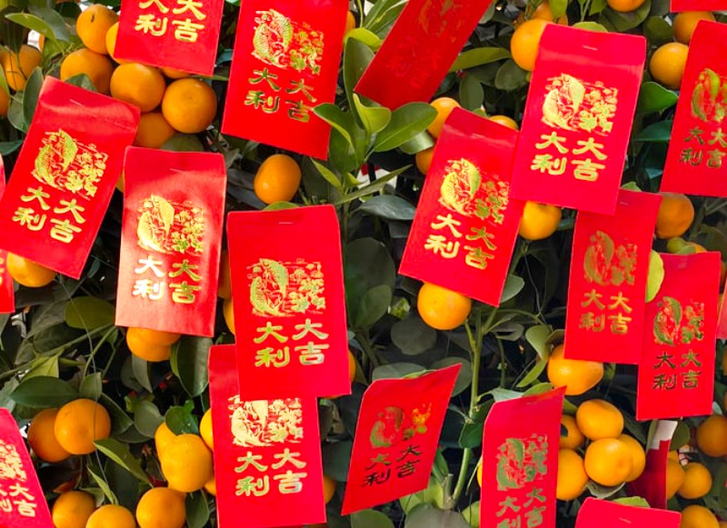 Mandarin oranges called “Gam” symbolising gold are a great gift idea and angpows (red packets) are an absolute must this Chinese New Year.