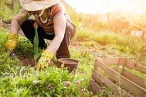 woman gardening as part of her passion