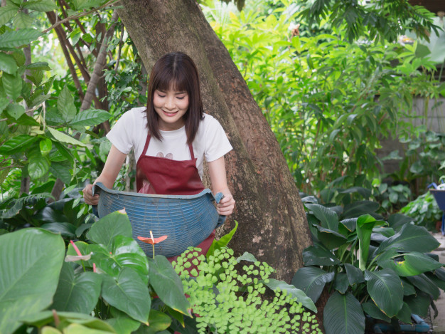 Woman At Gardening