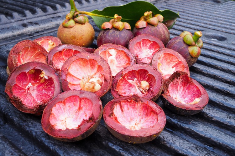 Pericarp Of The Mangosteen