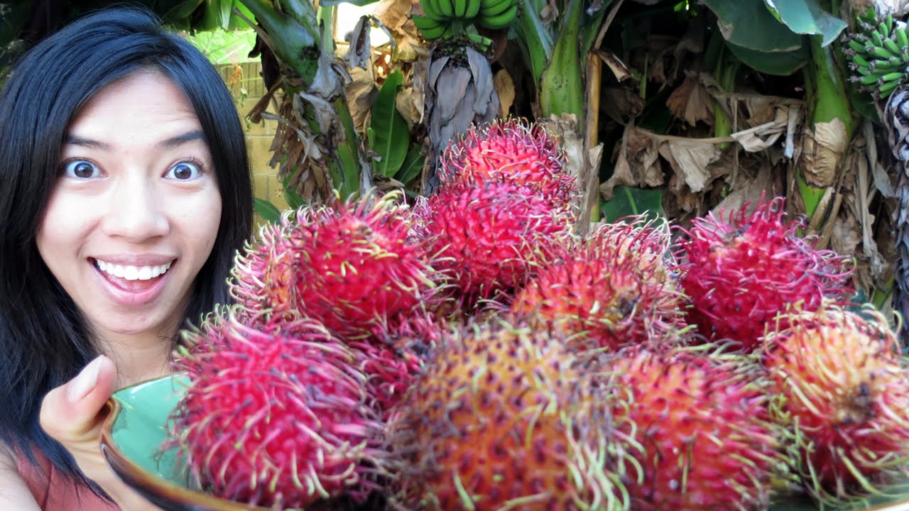 Girl With Bowl Of Rambutans