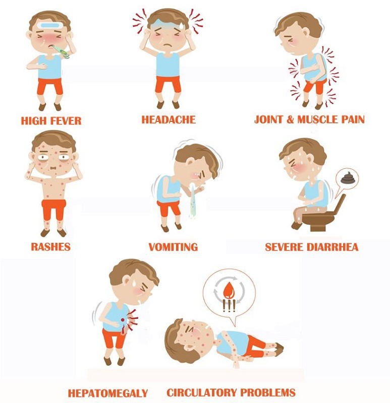 symptoms of dengue