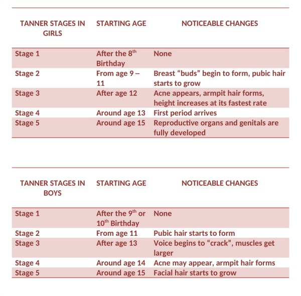 Tanner Stages of Puberty