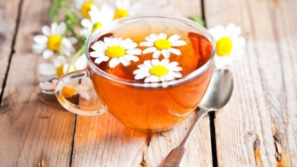 chamomile