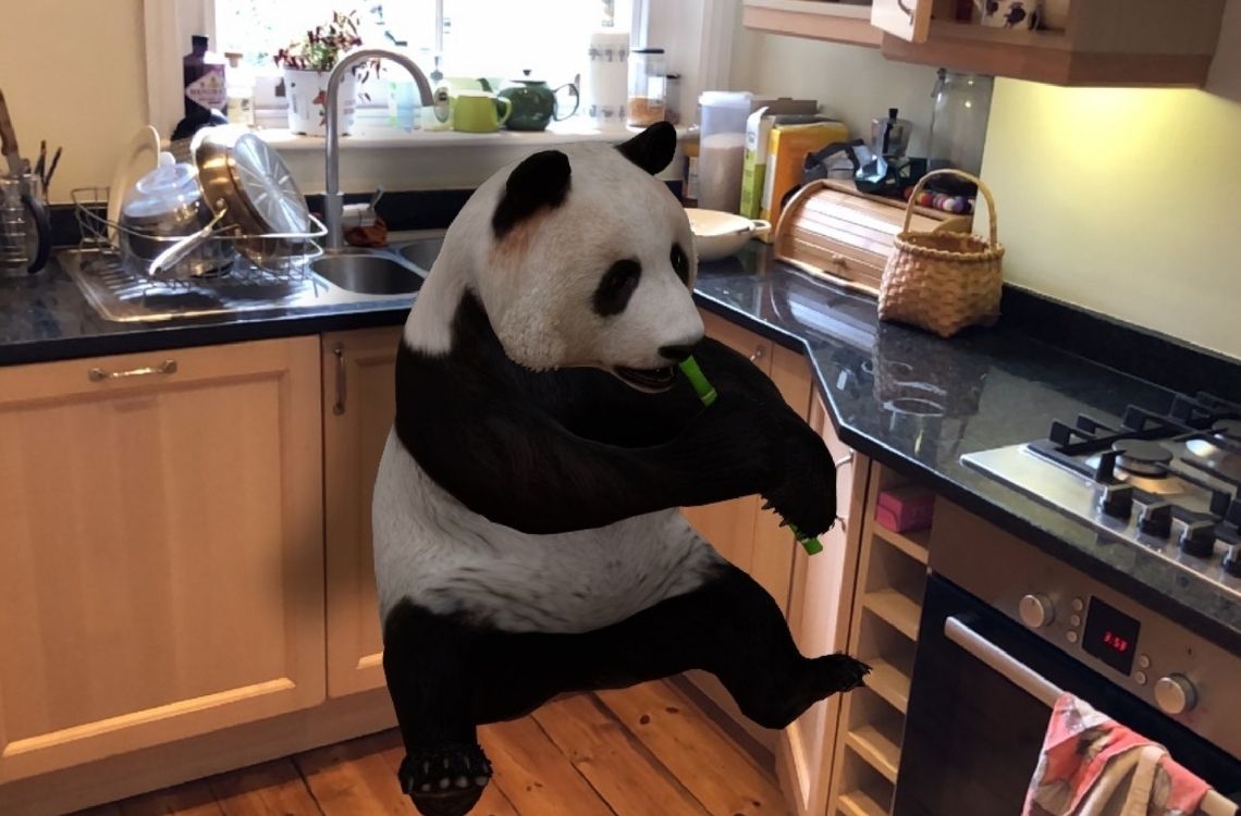 3d panda