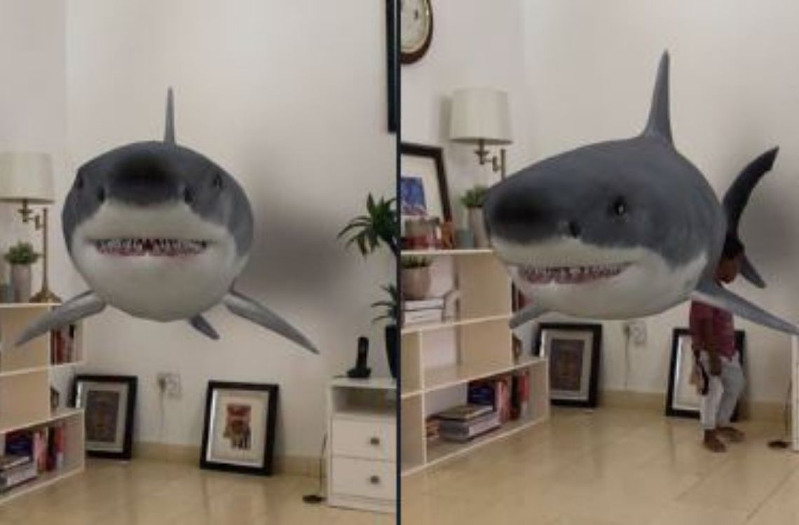 3d shark