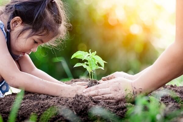 gardening is also one of the fun activities