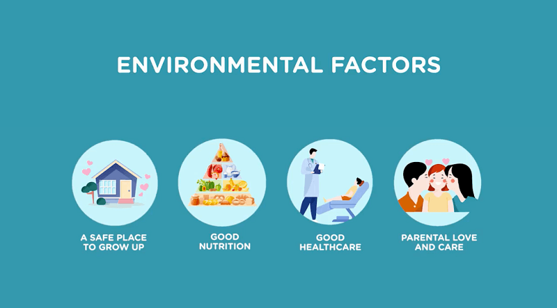 environmental factors in Children's Development Milestone