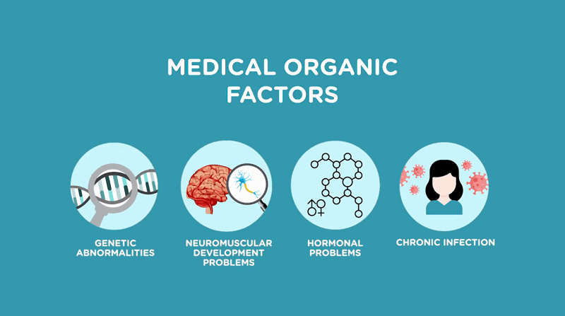 medical organic factors in Children's Development Milestone