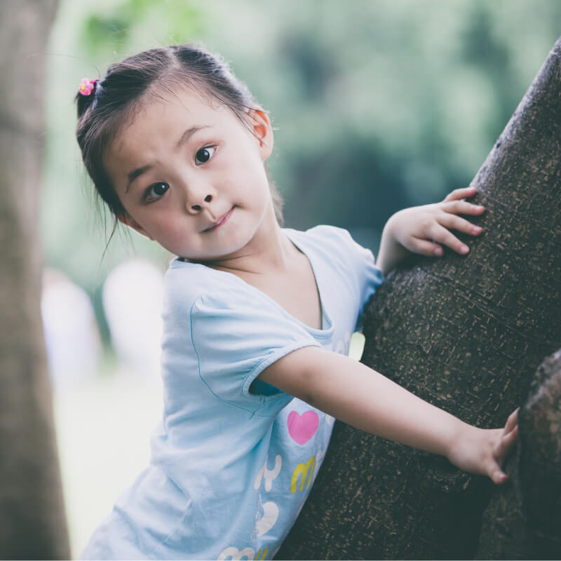 A girl is on a tree