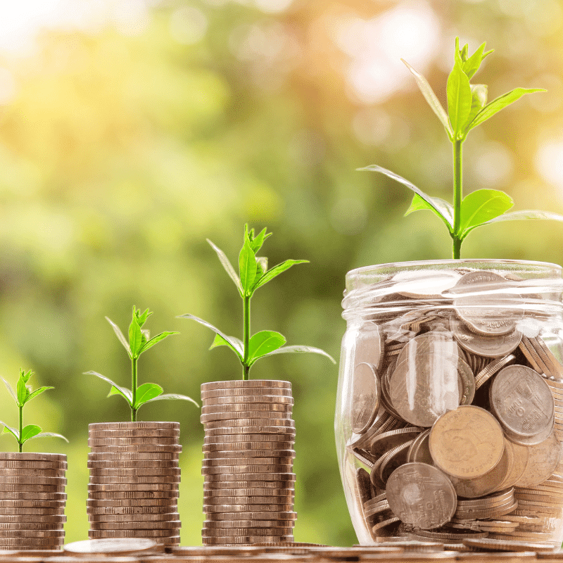 Plants grow from piled coins.