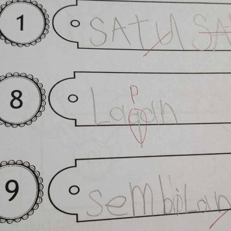 My son's exam