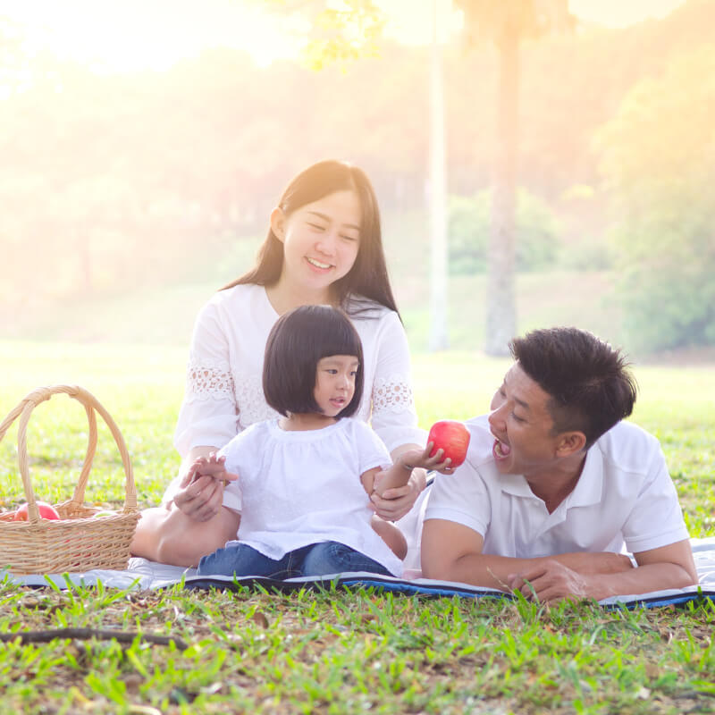 A family on a picnic