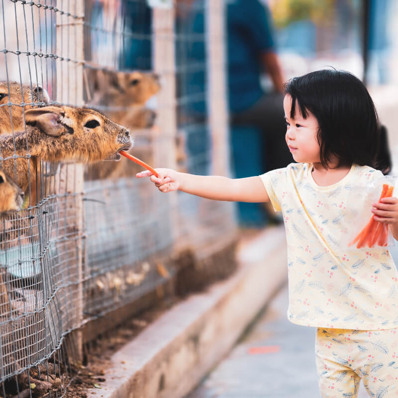 A girl at a wildlife park