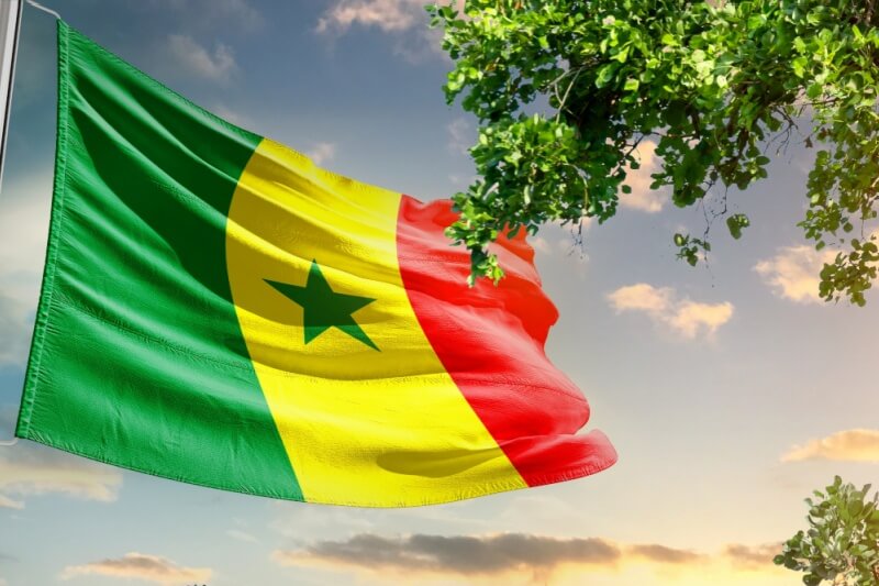 Senegal national flag waving in the sky behind the tree.